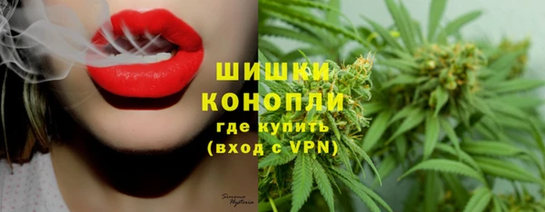 прущие крисы Новодвинск
