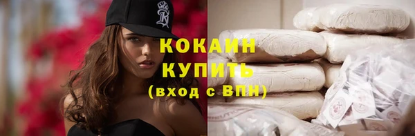 прущие крисы Новозыбков