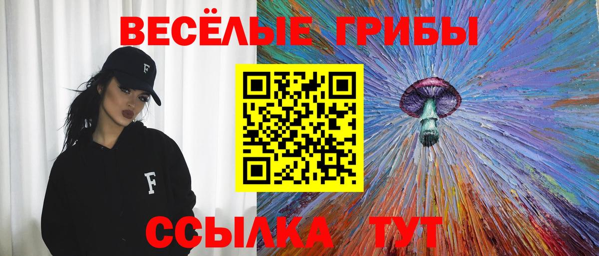 Псилоцибиновые грибы прущие грибы  Вход с VPN  Кашира 
