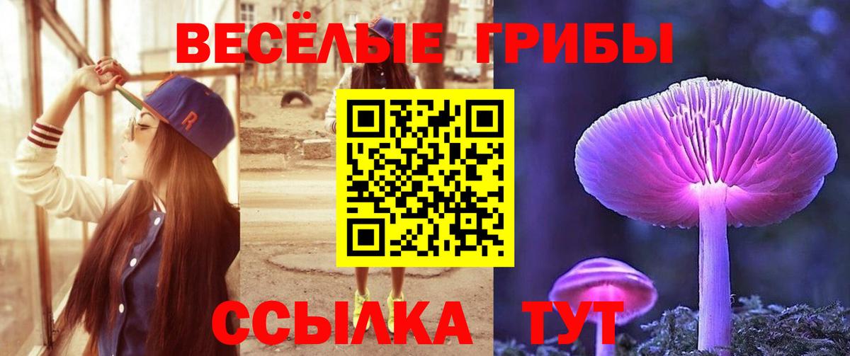 Галлюциногенные грибы MAGIC MUSHROOMS  Кашира 