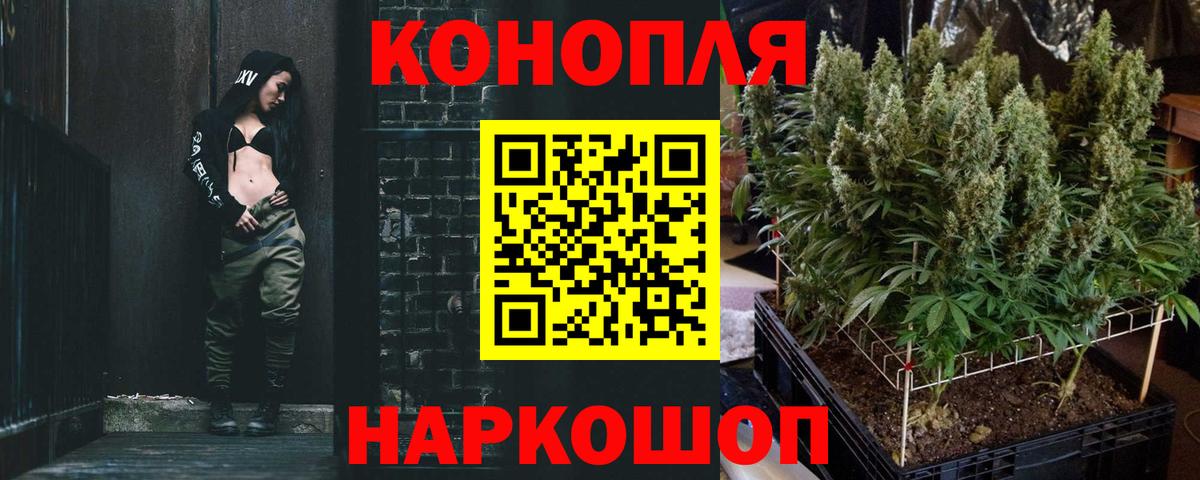 Конопля тримм  Бошки марихуана планчик  Канабис план  Кашира 